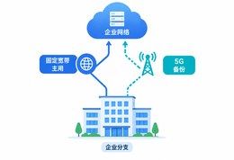 5G 链路作为企业分支备份线路的示意图