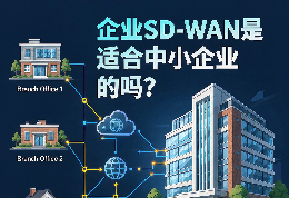 中小企业总部、分支机构与云应用通过 SD-WAN 连接